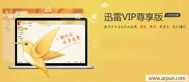 探索优质资源:功能丰富的迅雷会员账号分享平台,畅享高速下载体验