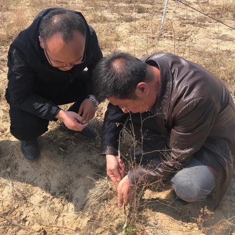 (苹果官方平板电脑)探索苹果平板官网：购买指南、最新型号以及用户评价全解析！