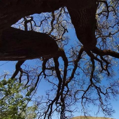 (探索历史遗迹的神秘之旅,探寻时间的印记是什么)探索历史遗迹的神秘之旅,探寻时间的印记 (探索历史遗迹的神秘之旅,探寻时间的印记是什么)探索历史遗迹的神秘之旅,探寻时间的印记