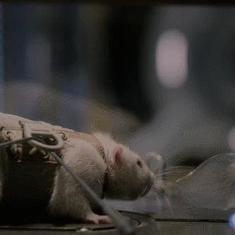 (异星觉醒有第2部吗)异星觉醒有第二部吗?续集或独立发展的传说