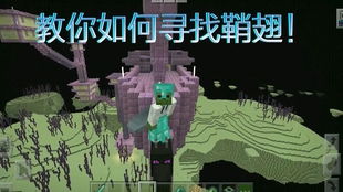 (探寻新世界的卡密之谜:寻找卡密的奇幻之旅在线观看)探寻新世界的卡密之谜:寻找卡密的奇幻之旅