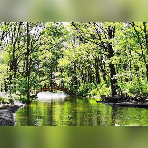 (祈求者有几个技能)祈求者的技能详细介绍:掌握神秘力量的能力和技巧 (祈求者有几个技能)祈求者的技能详细介绍:掌握神秘力量的能力和技巧