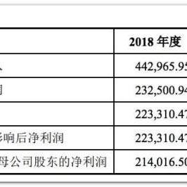 代号远征：预计何时上线？玩家们期待已久的新游戏发布日期揭晓