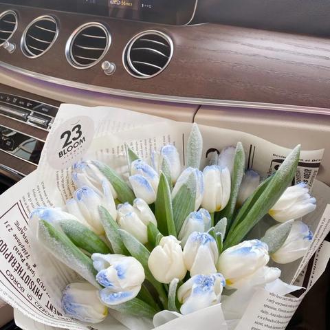 (奇缘幻境ol三老版下载)重回经典，老版奇缘幻境OL怀旧游戏豪华复刻版再现江湖风云