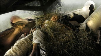 (伊甸园的毁灭)伊甸园是被摧毁了吗?人类的贪婪与破坏对自然的影响 (伊甸园的毁灭)伊甸园是被摧毁了吗?人类的贪婪与破坏对自然的影响