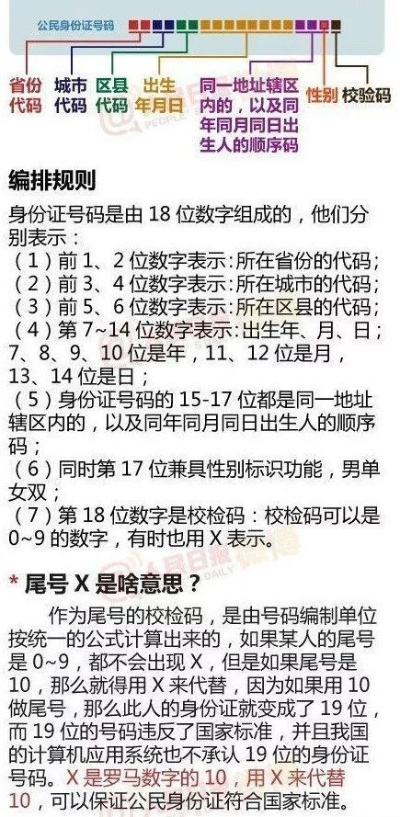(代号命名规则)探索代号名字的深层含义:如何通过代号展现个性与秘密