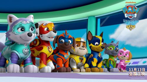 汪汪队奇奇:超级可爱的狗狗小队,勇敢保护着世界上的每一个角落 汪汪队奇奇:超级可爱的狗狗小队,勇敢保护着世界上的每一个角落