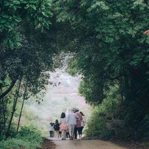 魔法仙踪:拯救妈妈的冒险之旅,穿越幻想之境,寻找力量的奇迹
