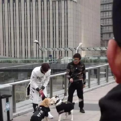 (狗 地铁)勇敢的狗狗突击地铁逃生，引发众人暖心感动