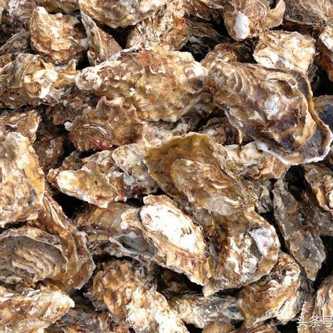 (砍价砍一刀什么意思)砍一刀，感受生活的鲜活之美：探索砍价文化背后的奥秘与乐趣