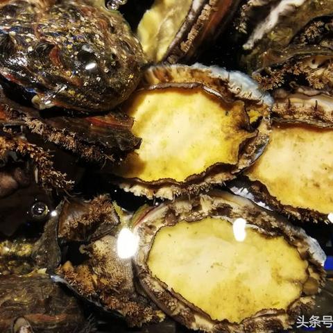 (砍价砍一刀什么意思)砍一刀，感受生活的鲜活之美：探索砍价文化背后的奥秘与乐趣