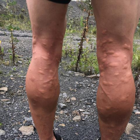 垂钓宗师无限金币无限钻石：探索无尽的财富之路，技高一筹称霸钓鱼界