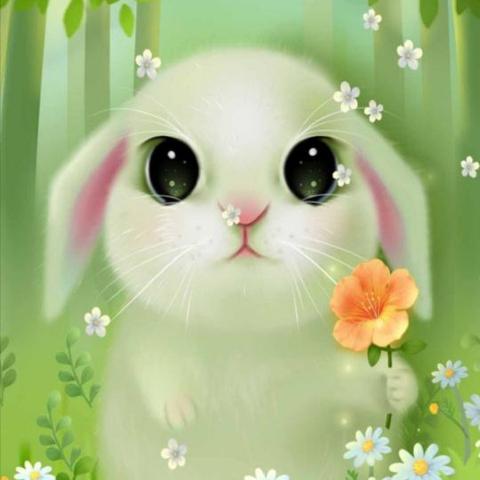 (可爱电脑壁纸高清无水印)可爱电脑壁纸图片大全高清，精选最可爱的壁纸让你眼前一亮