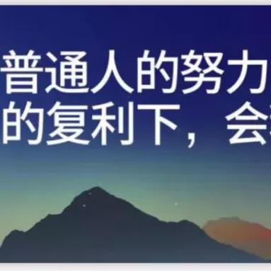 (保利桥1-14)保利桥3：探索整座桥是一体的建筑奇迹和设计工程