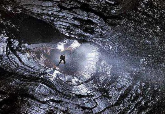 探索代号黑森林如何神秘消失：背后的真相与未解之谜