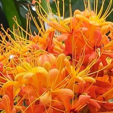 (小趣app安卓版)立即下载小趣APP，精彩内容尽在眼前，让生活更有趣！