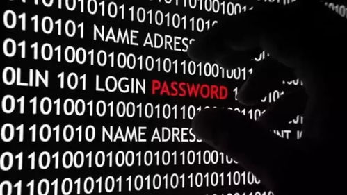 (骇客 黑客)揭秘骇客hk：黑客技术背后的黑暗面，网络安全的严峻考验