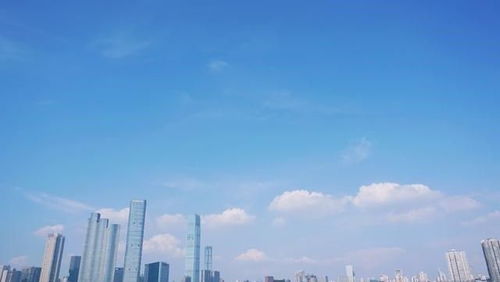 商业都市企业攻略：在竞争激烈的商业都市中脱颖而出的成功秘诀