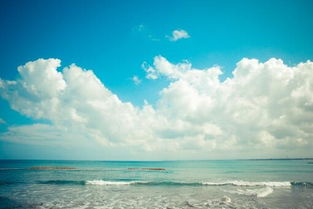 (蔚蓝安卓版下载)蔚蓝celeste手机版官方下载：畅游湛蓝海洋，感受无限可能！