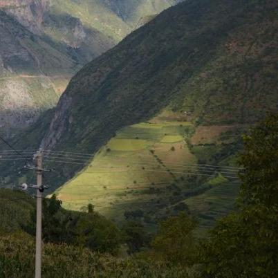 探索无尽秘境：部落幸存者如何巧妙利用无限资源改写自己的生存命运