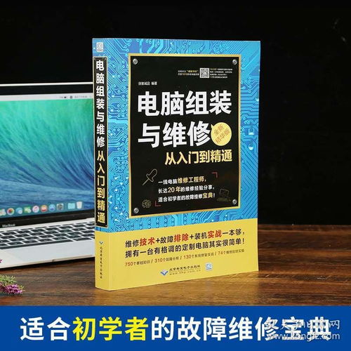 (电脑硬件基础知识教程自学)全面解读：电脑硬件基础知识文档的详细教学及其重要性
