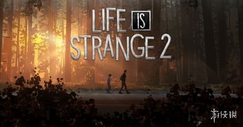 探寻微时曼旅的神秘异闻：攻略揭秘与探索旅程