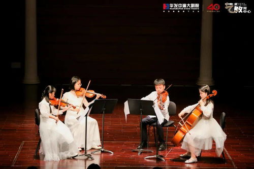 古典乐男子美少年：在优雅旋律中展现青春魅力与艺术才华的独特旅程