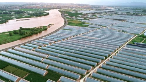 (良田农业科技有限公司)探寻农业革新之路：这城有良田交易平台，诠释现代农业新格局